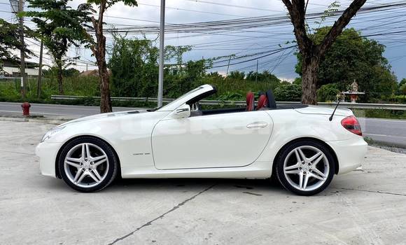 ซื้อ รถมือสอง Mercedes-Benz SLK-klasse AMG ขาว รถยนต์ ใน %{เมือง} ใน กรุงเทพมหานคร ซื้อ รถมือสอง Mercedes-Benz SLK-klasse AMG ขาว รถยนต์ ใน %{เมือง} ใน กรุงเทพมหานคร