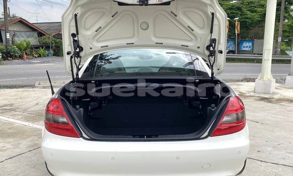 ซื้อ รถมือสอง Mercedes-Benz SLK-klasse AMG ขาว รถยนต์ ใน %{เมือง} ใน กรุงเทพมหานคร ซื้อ รถมือสอง Mercedes-Benz SLK-klasse AMG ขาว รถยนต์ ใน %{เมือง} ใน กรุงเทพมหานคร