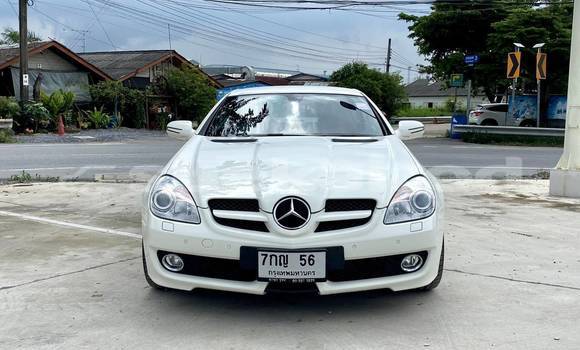 ซื้อ รถมือสอง Mercedes-Benz SLK-klasse AMG ขาว รถยนต์ ใน %{เมือง} ใน กรุงเทพมหานคร ซื้อ รถมือสอง Mercedes-Benz SLK-klasse AMG ขาว รถยนต์ ใน %{เมือง} ใน กรุงเทพมหานคร