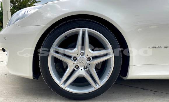 ซื้อ รถมือสอง Mercedes-Benz SLK-klasse AMG ขาว รถยนต์ ใน %{เมือง} ใน กรุงเทพมหานคร ซื้อ รถมือสอง Mercedes-Benz SLK-klasse AMG ขาว รถยนต์ ใน %{เมือง} ใน กรุงเทพมหานคร