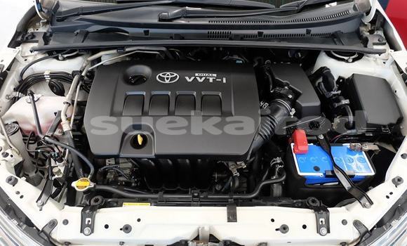 ซื้อ รถมือสอง Toyota Corolla Altis ขาว รถยนต์ ใน %{เมือง} ใน กรุงเทพมหานคร ซื้อ รถมือสอง Toyota Corolla Altis ขาว รถยนต์ ใน %{เมือง} ใน กรุงเทพมหานคร
