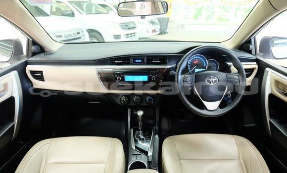 ซื้อ รถมือสอง Toyota Corolla Altis ขาว รถยนต์ ใน %{เมือง} ใน กรุงเทพมหานคร ซื้อ รถมือสอง Toyota Corolla Altis ขาว รถยนต์ ใน %{เมือง} ใน กรุงเทพมหานคร