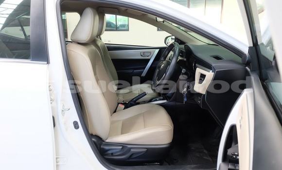 ซื้อ รถมือสอง Toyota Corolla Altis ขาว รถยนต์ ใน %{เมือง} ใน กรุงเทพมหานคร ซื้อ รถมือสอง Toyota Corolla Altis ขาว รถยนต์ ใน %{เมือง} ใน กรุงเทพมหานคร