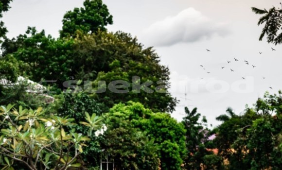 ซื้อ รถมือสอง Mercedes-Benz A200 ขาว รถยนต์ ใน %{เมือง} ใน กรุงเทพมหานคร ซื้อ รถมือสอง Mercedes-Benz A200 ขาว รถยนต์ ใน %{เมือง} ใน กรุงเทพมหานคร