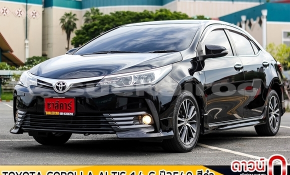 Buy Used Toyota Altis Black Car in Chiang Mai in Chiang Mai