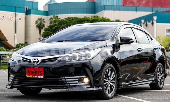 Buy Used Toyota Altis Black Car in Chiang Mai in Chiang Mai Buy Used Toyota Altis Black Car in Chiang Mai in Chiang Mai