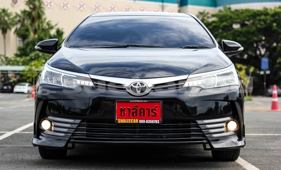 Buy Used Toyota Altis Black Car in Chiang Mai in Chiang Mai Buy Used Toyota Altis Black Car in Chiang Mai in Chiang Mai
