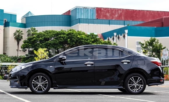 Buy Used Toyota Altis Black Car in Chiang Mai in Chiang Mai Buy Used Toyota Altis Black Car in Chiang Mai in Chiang Mai