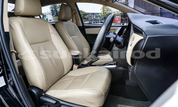 Buy Used Toyota Altis Black Car in Chiang Mai in Chiang Mai Buy Used Toyota Altis Black Car in Chiang Mai in Chiang Mai