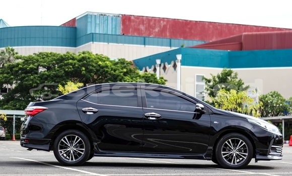 Buy Used Toyota Altis Black Car in Chiang Mai in Chiang Mai Buy Used Toyota Altis Black Car in Chiang Mai in Chiang Mai