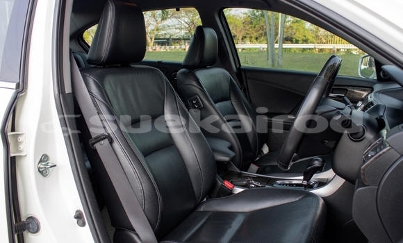 Buy Used Honda Accord White Car in Chiang Mai in Chiang Mai Buy Used Honda Accord White Car in Chiang Mai in Chiang Mai