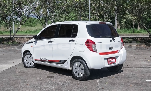 Buy Used Suzuki Celerio White Car in Chiang Mai in Chiang Mai Buy Used Suzuki Celerio White Car in Chiang Mai in Chiang Mai