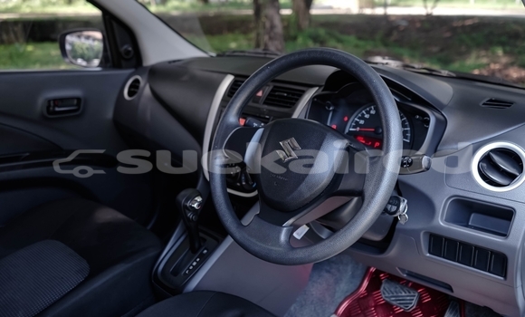 Buy Used Suzuki Celerio White Car in Chiang Mai in Chiang Mai Buy Used Suzuki Celerio White Car in Chiang Mai in Chiang Mai