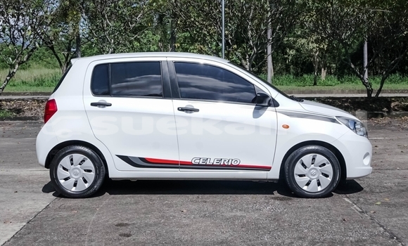 Buy Used Suzuki Celerio White Car in Chiang Mai in Chiang Mai Buy Used Suzuki Celerio White Car in Chiang Mai in Chiang Mai