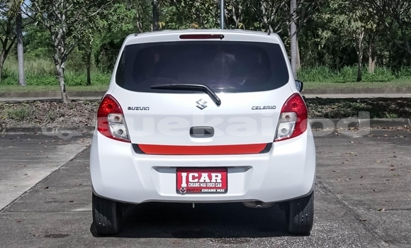 Buy Used Suzuki Celerio White Car in Chiang Mai in Chiang Mai Buy Used Suzuki Celerio White Car in Chiang Mai in Chiang Mai