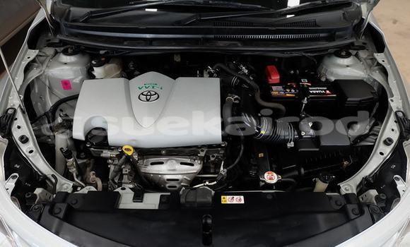 Buy Used Toyota Vios Silver Car in Bangkok in Bangkok Buy Used Toyota Vios Silver Car in Bangkok in Bangkok