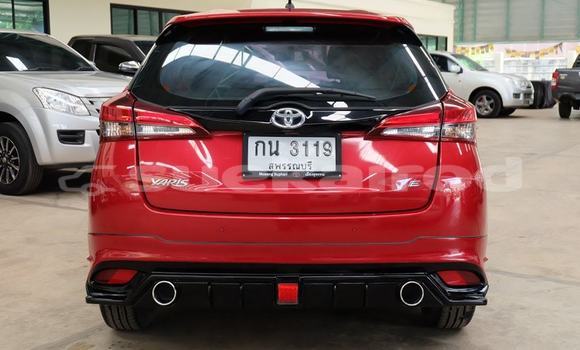 ซื้อ รถมือสอง Toyota Yaris สีแดง รถยนต์ ใน %{เมือง} ใน กรุงเทพมหานคร ซื้อ รถมือสอง Toyota Yaris สีแดง รถยนต์ ใน %{เมือง} ใน กรุงเทพมหานคร