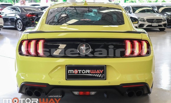ซื้อ รถมือสอง Ford Mustang อื่น ๆ รถยนต์ ใน %{เมือง} ใน กรุงเทพมหานคร ซื้อ รถมือสอง Ford Mustang อื่น ๆ รถยนต์ ใน %{เมือง} ใน กรุงเทพมหานคร