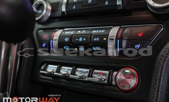 ซื้อ รถมือสอง Ford Mustang อื่น ๆ รถยนต์ ใน %{เมือง} ใน กรุงเทพมหานคร ซื้อ รถมือสอง Ford Mustang อื่น ๆ รถยนต์ ใน %{เมือง} ใน กรุงเทพมหานคร