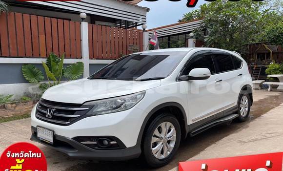 Buy Used Honda CR-V White Car in Bangkok in Bangkok