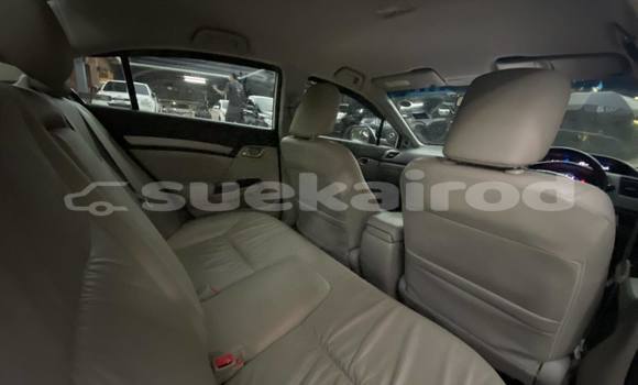 ซื้อ รถมือสอง Honda Civic ขาว รถยนต์ ใน %{เมือง} ใน กรุงเทพมหานคร ซื้อ รถมือสอง Honda Civic ขาว รถยนต์ ใน %{เมือง} ใน กรุงเทพมหานคร