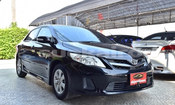 ซื้อ รถมือสอง Toyota Altis สีดำ รถยนต์ ใน %{เมือง} ใน ยโสธร ซื้อ รถมือสอง Toyota Altis สีดำ รถยนต์ ใน %{เมือง} ใน ยโสธร