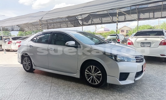 ซื้อ รถมือสอง Toyota Altis อื่น ๆ รถยนต์ ใน %{เมือง} ใน ยโสธร ซื้อ รถมือสอง Toyota Altis อื่น ๆ รถยนต์ ใน %{เมือง} ใน ยโสธร
