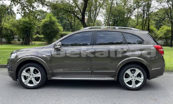 ซื้อ รถมือสอง Chevrolet Captiva สีน้ำตาล รถยนต์ ใน %{เมือง} ใน กรุงเทพมหานคร ซื้อ รถมือสอง Chevrolet Captiva สีน้ำตาล รถยนต์ ใน %{เมือง} ใน กรุงเทพมหานคร