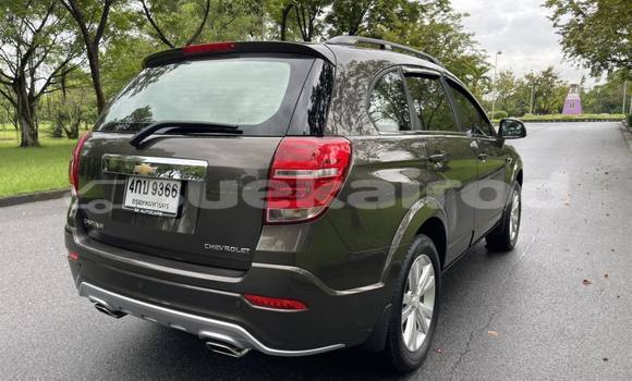 ซื้อ รถมือสอง Chevrolet Captiva สีน้ำตาล รถยนต์ ใน %{เมือง} ใน กรุงเทพมหานคร ซื้อ รถมือสอง Chevrolet Captiva สีน้ำตาล รถยนต์ ใน %{เมือง} ใน กรุงเทพมหานคร