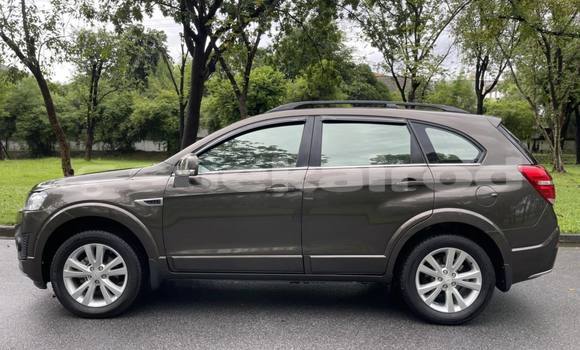 ซื้อ รถมือสอง Chevrolet Captiva สีน้ำตาล รถยนต์ ใน %{เมือง} ใน กรุงเทพมหานคร ซื้อ รถมือสอง Chevrolet Captiva สีน้ำตาล รถยนต์ ใน %{เมือง} ใน กรุงเทพมหานคร