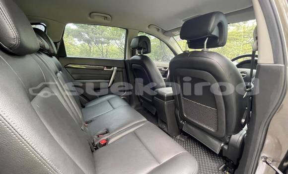ซื้อ รถมือสอง Chevrolet Captiva สีน้ำตาล รถยนต์ ใน %{เมือง} ใน กรุงเทพมหานคร ซื้อ รถมือสอง Chevrolet Captiva สีน้ำตาล รถยนต์ ใน %{เมือง} ใน กรุงเทพมหานคร