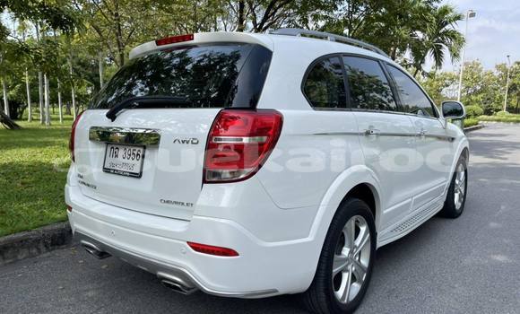 ซื้อ รถมือสอง Chevrolet Captiva ขาว รถยนต์ ใน %{เมือง} ใน กรุงเทพมหานคร ซื้อ รถมือสอง Chevrolet Captiva ขาว รถยนต์ ใน %{เมือง} ใน กรุงเทพมหานคร