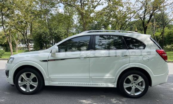 ซื้อ รถมือสอง Chevrolet Captiva ขาว รถยนต์ ใน %{เมือง} ใน กรุงเทพมหานคร ซื้อ รถมือสอง Chevrolet Captiva ขาว รถยนต์ ใน %{เมือง} ใน กรุงเทพมหานคร