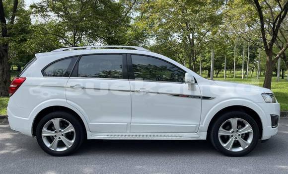 ซื้อ รถมือสอง Chevrolet Captiva ขาว รถยนต์ ใน %{เมือง} ใน กรุงเทพมหานคร ซื้อ รถมือสอง Chevrolet Captiva ขาว รถยนต์ ใน %{เมือง} ใน กรุงเทพมหานคร