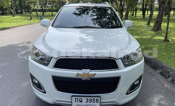 ซื้อ รถมือสอง Chevrolet Captiva ขาว รถยนต์ ใน %{เมือง} ใน กรุงเทพมหานคร ซื้อ รถมือสอง Chevrolet Captiva ขาว รถยนต์ ใน %{เมือง} ใน กรุงเทพมหานคร