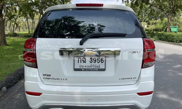 ซื้อ รถมือสอง Chevrolet Captiva ขาว รถยนต์ ใน %{เมือง} ใน กรุงเทพมหานคร ซื้อ รถมือสอง Chevrolet Captiva ขาว รถยนต์ ใน %{เมือง} ใน กรุงเทพมหานคร
