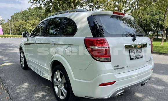 ซื้อ รถมือสอง Chevrolet Captiva ขาว รถยนต์ ใน %{เมือง} ใน กรุงเทพมหานคร ซื้อ รถมือสอง Chevrolet Captiva ขาว รถยนต์ ใน %{เมือง} ใน กรุงเทพมหานคร
