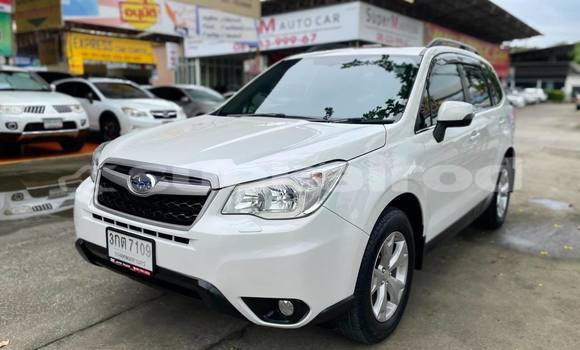 ซื้อ รถมือสอง Subaru Forester ขาว รถยนต์ ใน %{เมือง} ใน กรุงเทพมหานคร