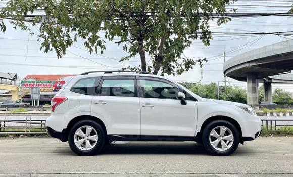 Buy Used Subaru Forester White Car in Bangkok in Bangkok Buy Used Subaru Forester White Car in Bangkok in Bangkok