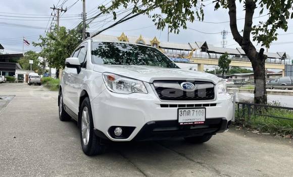 Buy Used Subaru Forester White Car in Bangkok in Bangkok Buy Used Subaru Forester White Car in Bangkok in Bangkok