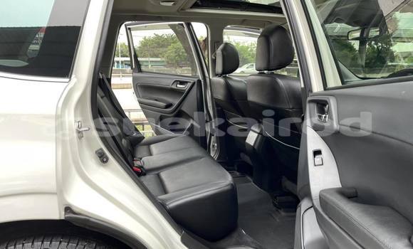 Buy Used Subaru Forester White Car in Bangkok in Bangkok Buy Used Subaru Forester White Car in Bangkok in Bangkok