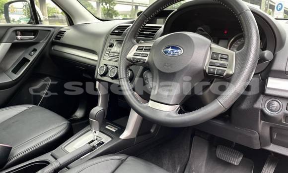 Buy Used Subaru Forester White Car in Bangkok in Bangkok Buy Used Subaru Forester White Car in Bangkok in Bangkok