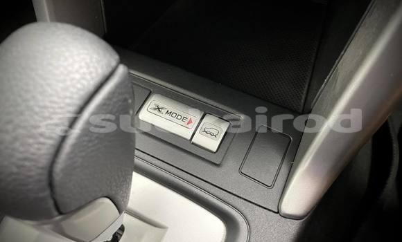 Buy Used Subaru Forester White Car in Bangkok in Bangkok Buy Used Subaru Forester White Car in Bangkok in Bangkok