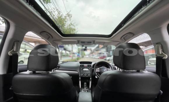 Buy Used Subaru Forester White Car in Bangkok in Bangkok Buy Used Subaru Forester White Car in Bangkok in Bangkok