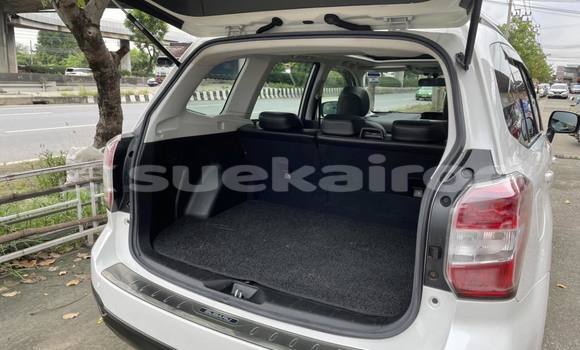 Buy Used Subaru Forester White Car in Bangkok in Bangkok Buy Used Subaru Forester White Car in Bangkok in Bangkok