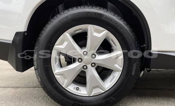 Buy Used Subaru Forester White Car in Bangkok in Bangkok Buy Used Subaru Forester White Car in Bangkok in Bangkok