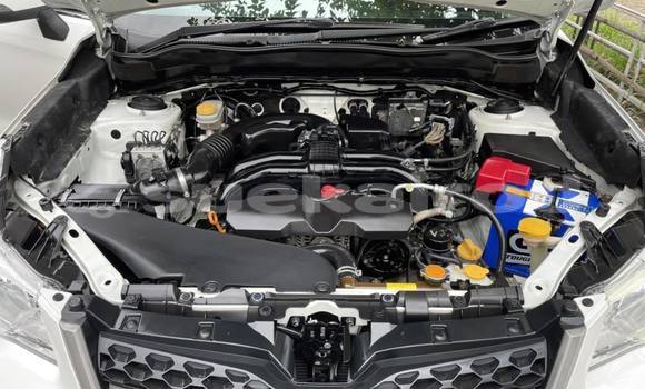 Buy Used Subaru Forester White Car in Bangkok in Bangkok Buy Used Subaru Forester White Car in Bangkok in Bangkok