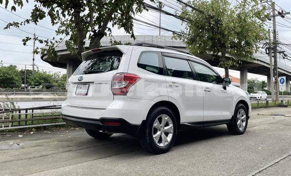 Buy Used Subaru Forester White Car in Bangkok in Bangkok Buy Used Subaru Forester White Car in Bangkok in Bangkok
