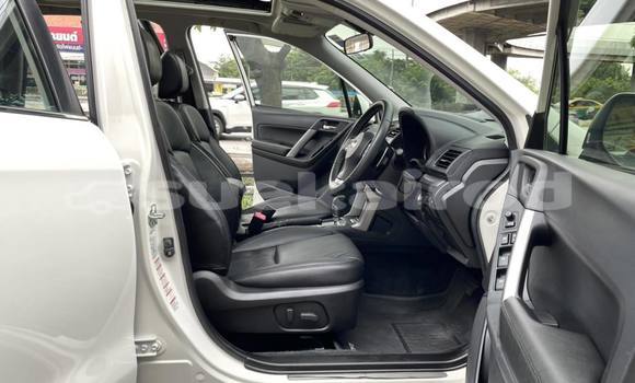 Buy Used Subaru Forester White Car in Bangkok in Bangkok Buy Used Subaru Forester White Car in Bangkok in Bangkok