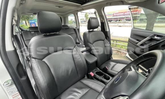 Buy Used Subaru Forester White Car in Bangkok in Bangkok Buy Used Subaru Forester White Car in Bangkok in Bangkok